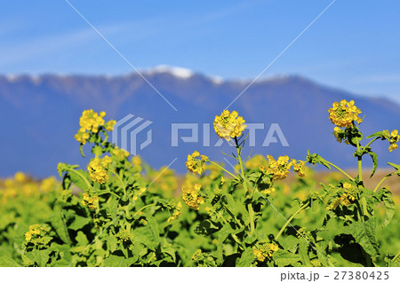 早春の琵琶湖 27380425