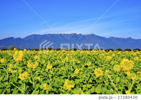 早春の琵琶湖 27380430