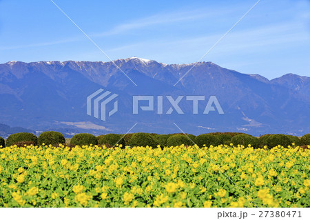 早春の琵琶湖 27380471