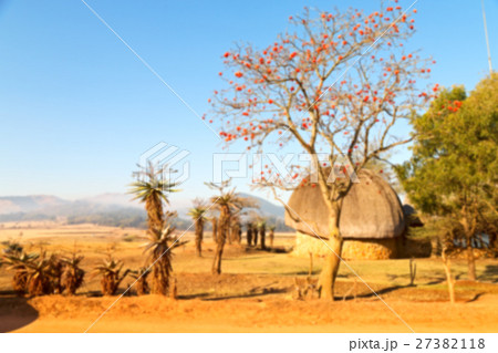 in swaziland wildlife nature reserve in swaziland wildlife nature reserve 27382118