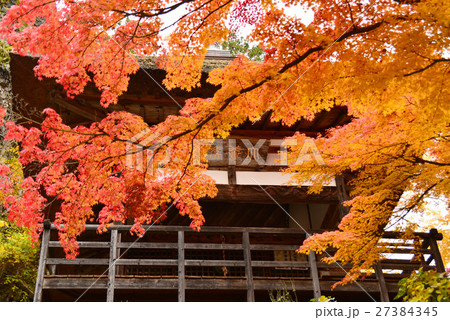長楽寺の観音堂と紅葉 27384345