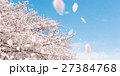春の風景 27384768