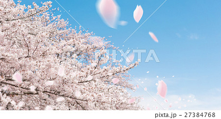 春の風景 春の風景 27384768