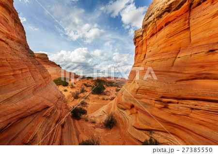 South coyote South coyote 27385550