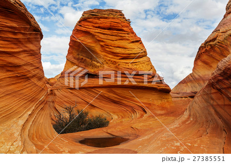 South coyote South coyote 27385551