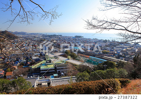 吾妻山公園の菜の花と眺望 吾妻山公園の菜の花と眺望 27387322
