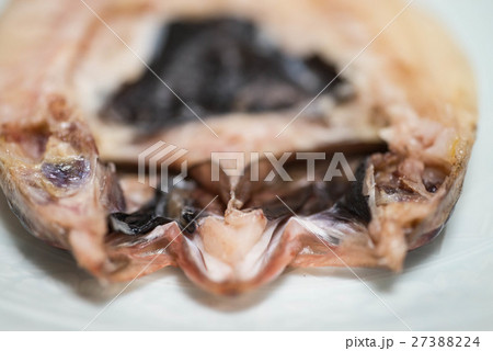 のどぐろの干し物　開き　皿　高級魚　天塩 27388224