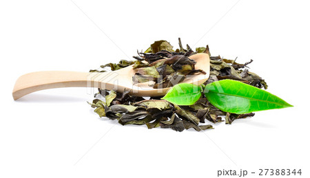 Green tea leaf isolated on white background Green tea leaf isolated on white background 27388344