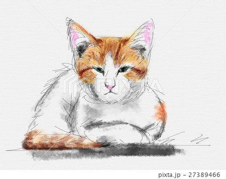 猫　イラスト 27389466