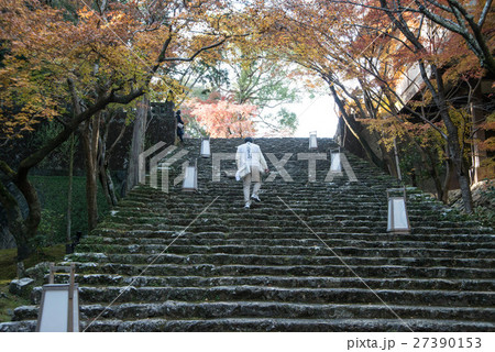 晩秋の五台山竹林寺　四国霊場八十八個所　三十一番札所 27390153