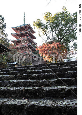晩秋の五台山竹林寺　四国霊場八十八個所　三十一番札所 27390160