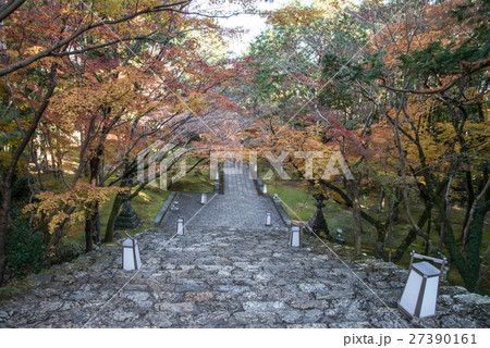 晩秋の五台山竹林寺　四国霊場八十八個所　三十一番札所 27390161