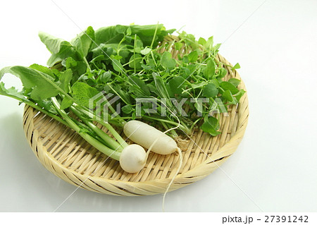 春の七草 年中行事 春の七草 年中行事 27391242