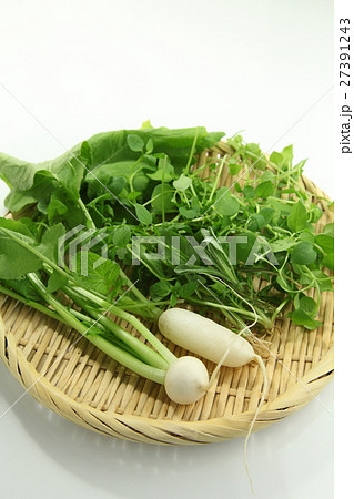 春の七草　年中行事 27391243