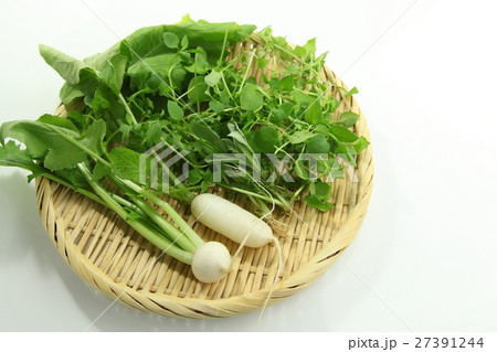 春の七草 年中行事 春の七草 年中行事 27391244