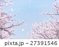 桜吹雪 27391546