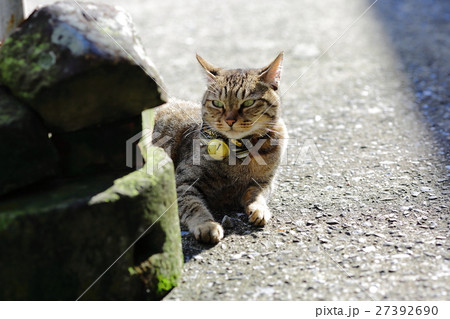 台湾 侯硐 猴硐 27392690