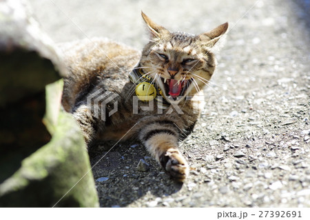 台湾 侯硐 猴硐 27392691