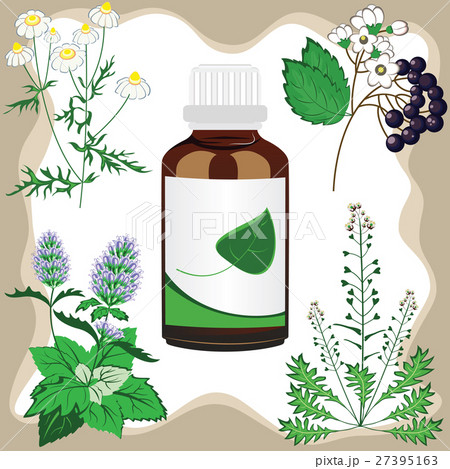 Set of medical herbs with a bottle 27395163