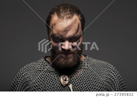 Formidable viking in chain armor 27395832