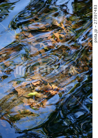 Background of leaves under the water 27397483