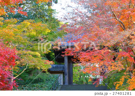 円覚寺の紅葉　【神奈川県・鎌倉の風景】 27401281
