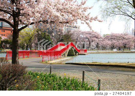 春の開成山公園 27404197