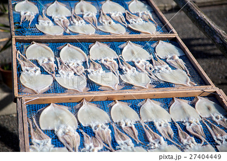 イカの一夜干し イカの一夜干し 27404449