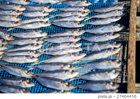 漁港風景 27404450