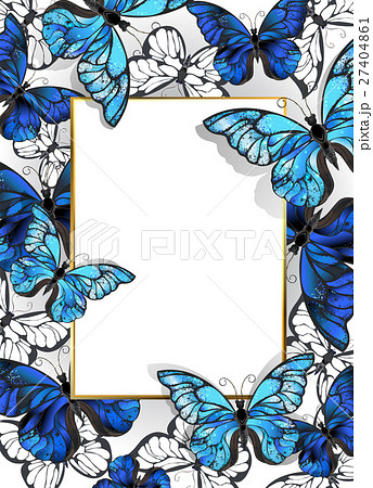 Rectangular Banner With Butterflies Morphoのイラスト素材 27404861 Pixta
