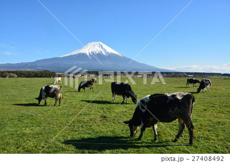 富士山と牧場 富士山と牧場 27408492