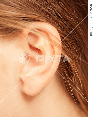 Close up on female ear 27409856