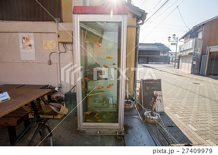 電話ボックスの中の金魚 電話ボックスの中の金魚 27409979