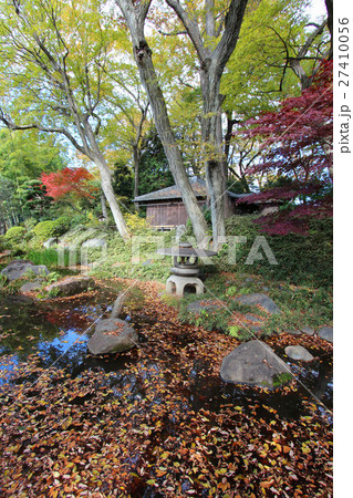柏の宮公園の紅葉 柏の宮公園の紅葉 27410056
