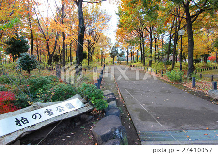 柏の宮公園の紅葉 27410057
