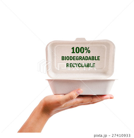 natural plant fiber food box in hand. natural plant fiber food box in hand. 27410933