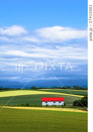 美瑛風景 美瑛風景 27415001