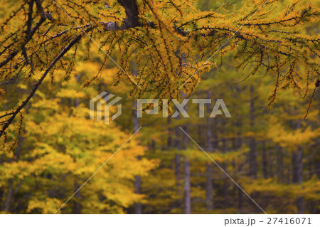 kamikochi autumn season in nagano 27416071