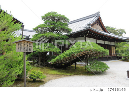 金閣寺　陸舟の松 27416146