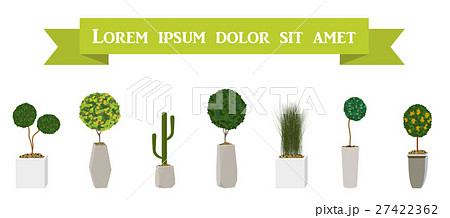 Home Green Plant in Nice Pot. Vector Illustration. Home Green Plant in Nice Pot. Vector Illustration. 27422362