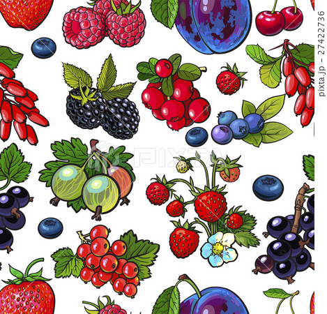 Sketched berries like blueberry, raspberry Sketched berries like blueberry, raspberry 27422736