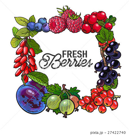 Square frame of garden berries with place for text 27422740