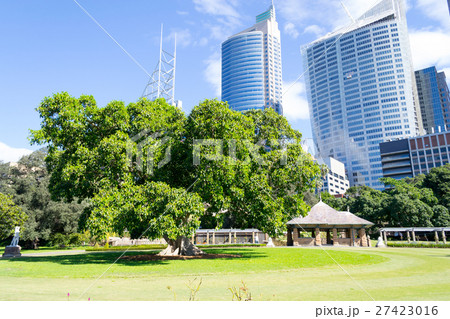 CBD from the Royal Botanical Gardens 27423016