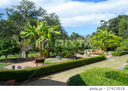 Walking in the Royal botanical gardens 27423018