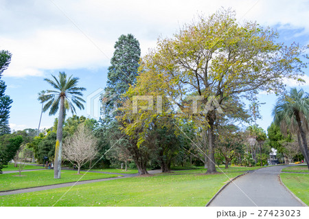 Walking in the Royal botanical gardens 27423023