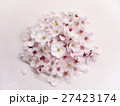 桜の花 27423174
