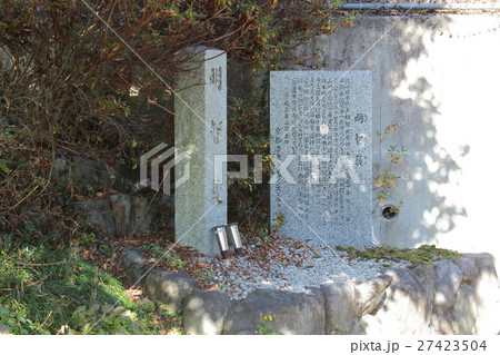 京都 明智薮 京都 明智薮 27423504