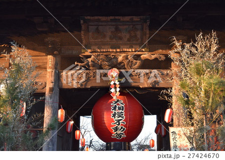 大聖寺山門　　お正月　埼玉県越谷市 27424670
