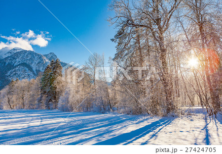 winter in hohenschwangau 27424705
