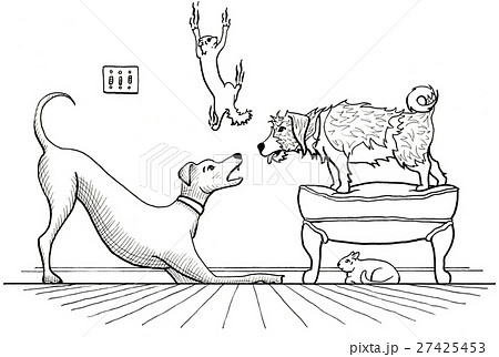 Animal House 27425453